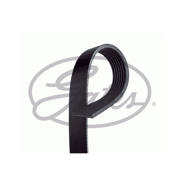 COURROIE ACCESSOIRE ALTERNATEUR TRANSIT AVEC CLIMATISEUR