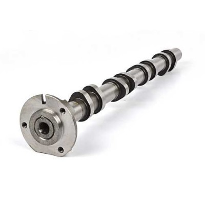 Arbre A Cames Côté...