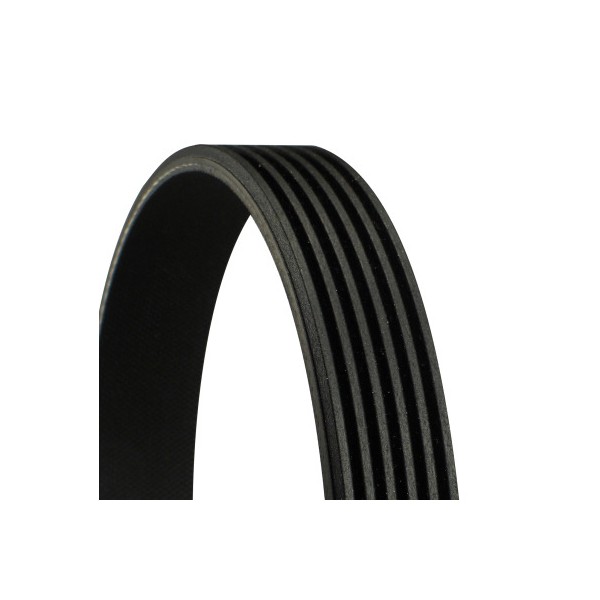 COURROIE ACCESSOIRE MOTEUR Poly-V FORD 1.4 ESSENCE