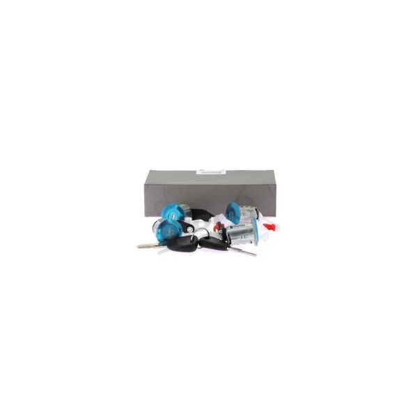 BARILLETS PORTES RENAULT MASTER