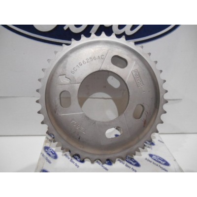 Pignon Arbres a Cames...