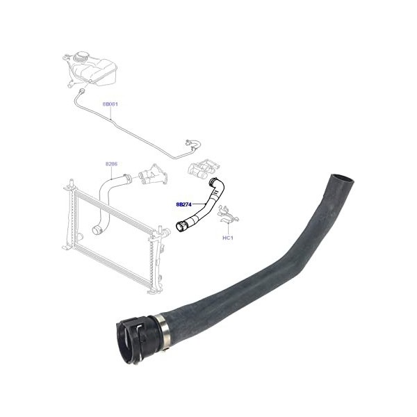 DURITE DE REFROIDISSEMENT MOTEUR DU RADIATEUR AU BOITIER THERMOSTAT MOTEUR FORD 1.25 1.4 1.6 FIESTA V FORD FUSION