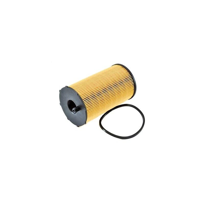 FILTRE CARTOUCHE A HUILE MOTEUR LAND ROVER DISCOVERY III/IV RANGE ROVER SPORT - vignette 2