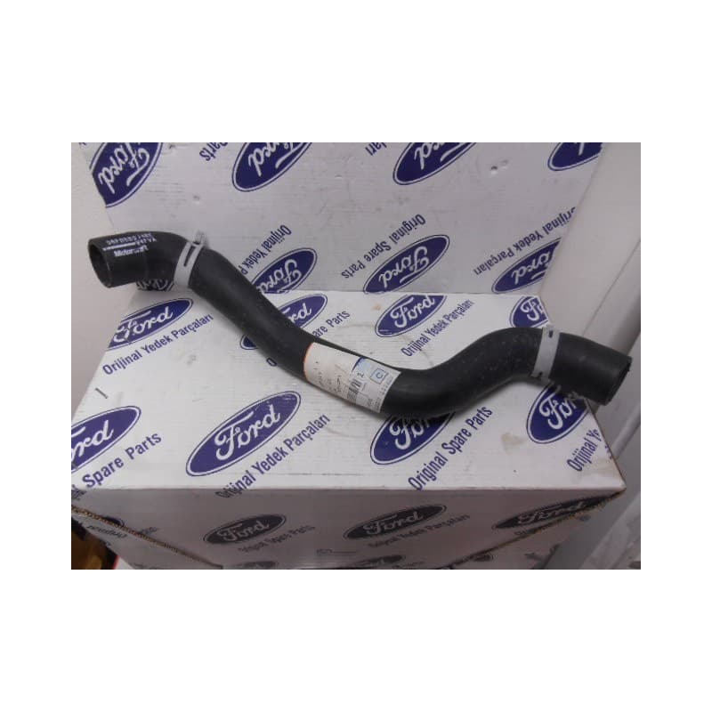DURITE DE RADIATEUR D'EAU FORD PUMA COURIER FIESTA IV 1.25i 16V / 1.4 i 16V / 1.6 16V Sport 1.7 16V / ST