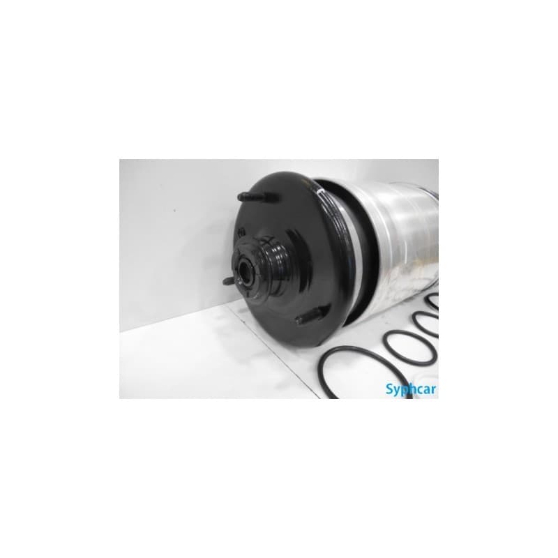 Ballon D'air Jambe de Suspension Arrière RANGE ROVER (L322) - vignette 2