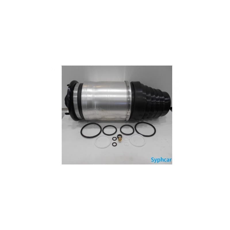 Ballon D'air Jambe de Suspension Arrière RANGE ROVER (L322) - vignette 3