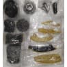 KIT CHAINE DISTRIBUTION AVEC PIGNONS JAGUAR LAND ROVER MOTEUR AJ200