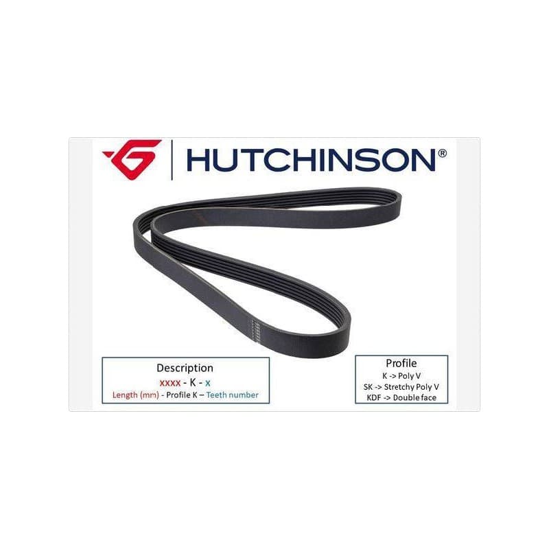 COURROIE ACCESSOIRES TRAPEZOIDALE A NERVURES FORD FOCUS II 1.8 TDCI - vignette 3