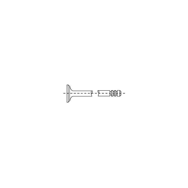 SOUPAPE D'ADMISSION RENAULT DACIA NISSAN 1.2 i