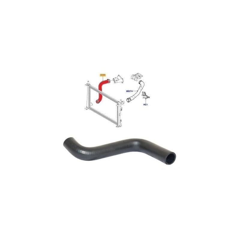 DURITE GAINE LIQUIDE DE REFROIDISSEMENT INFERIEUR DU RADIATEUR MOTEUR AU BOITIER THERMOSTAT FORD FIESTA 5 FUSION MAZDA 2